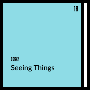 Seeing Things